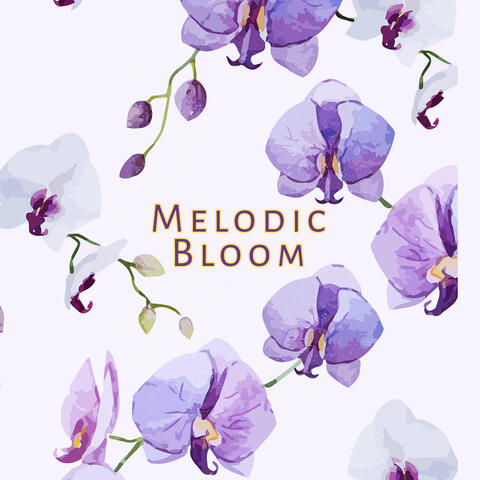 Melodic Bloom