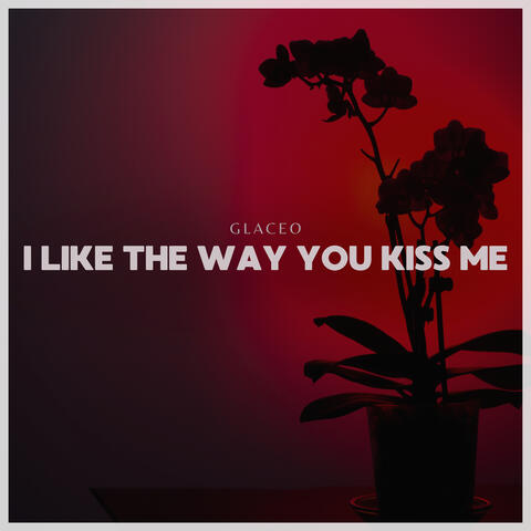 i like the way you kiss me
