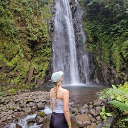 Jungle Meditation