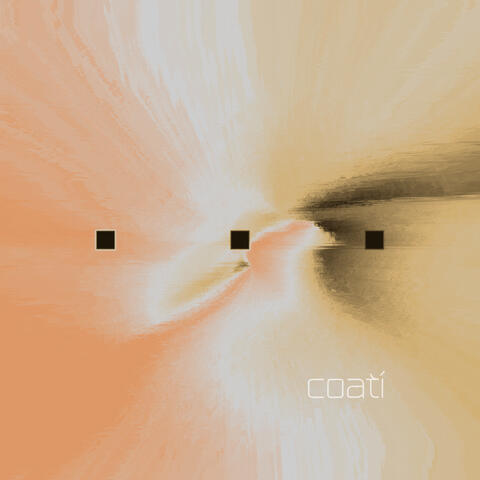 coatí