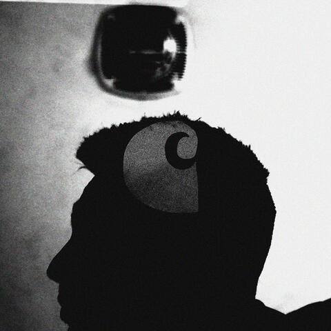 carhartt freestyle