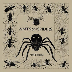 ANTS & SPIDERS