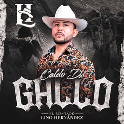 Caldo De Gallo
