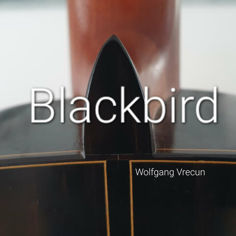 Blackbird