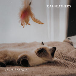 Cat Feathers
