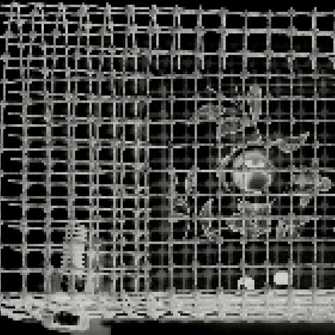 Death Wire (Vocal)