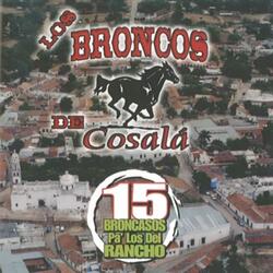 Fiesta de Colores