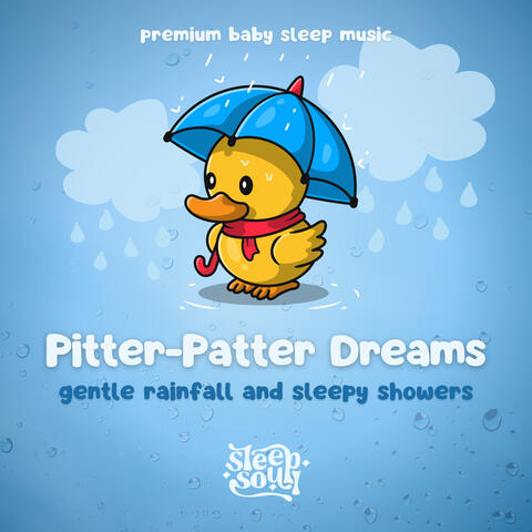 Sleep Soul: Pitter-Patter Dreams Gentle Rainfall and Sleepy Showers
