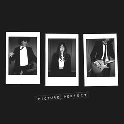 Picture Perfect
