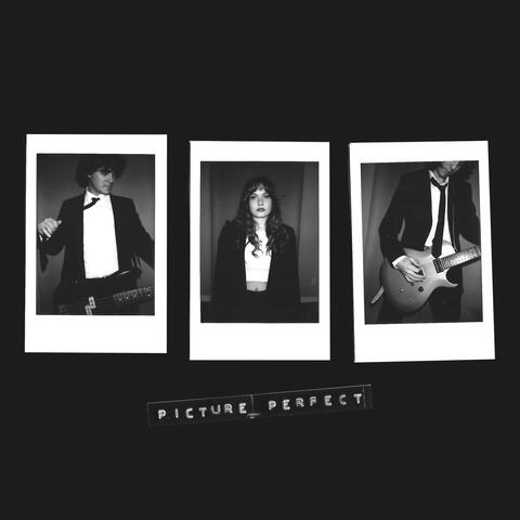 Picture Perfect