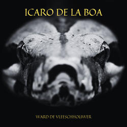 Icaro de la Boa