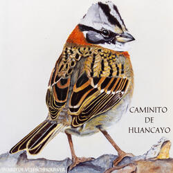 Caminito de Huancayo