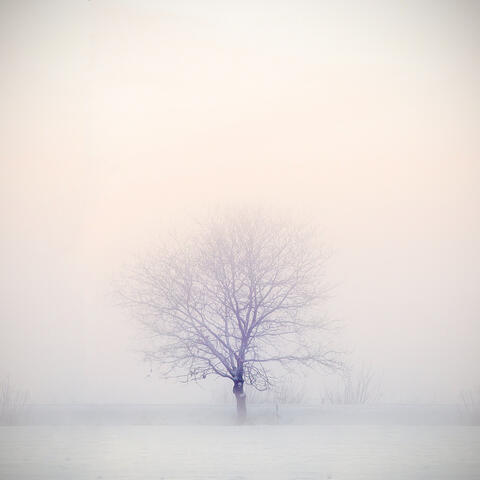 Infinite White Out: Snowstorm, Blizzard, Arctic Wind