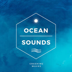 ocean waves crashing on beach