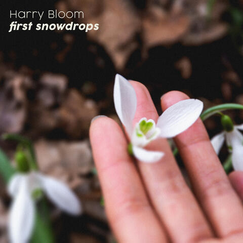 first snowdrops