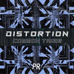 Distortion