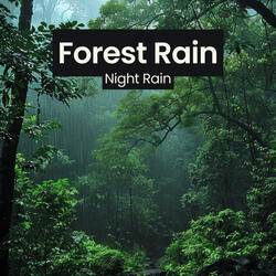 Rain in Forest