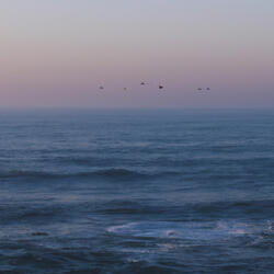Take Flight