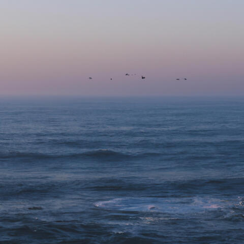 Take Flight