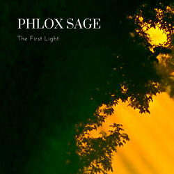 The First Light
