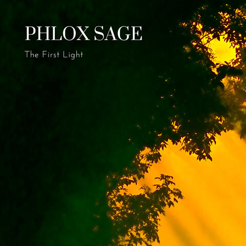 The First Light
