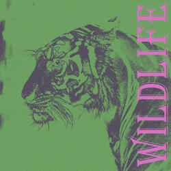 Wild Life