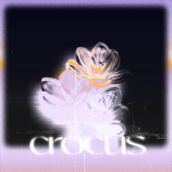 crocus