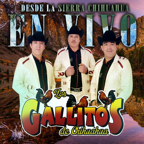 Desde la Sierra Chihuahua