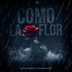 Como La Flor