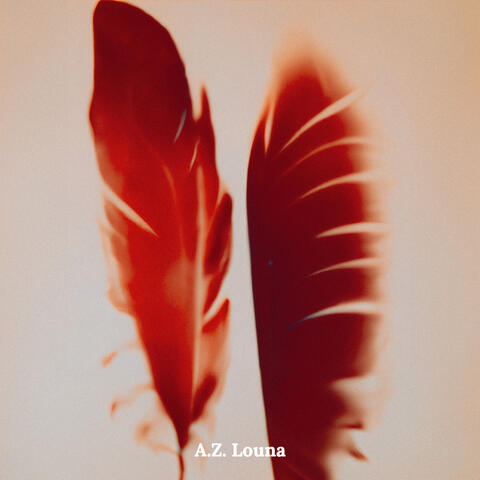 feathers