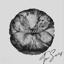 DISPARU (feat. The Moon)