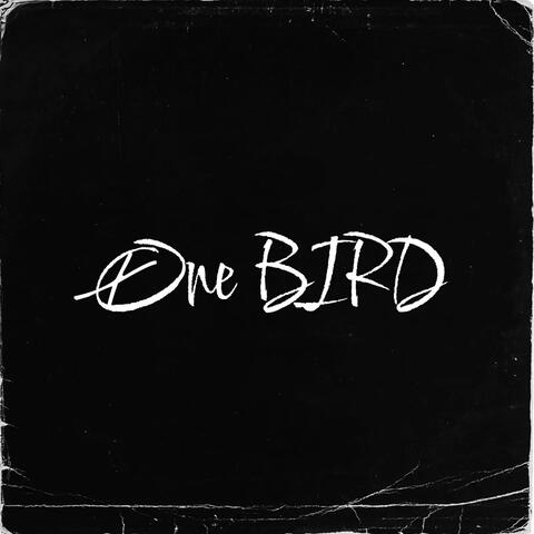 One Bird