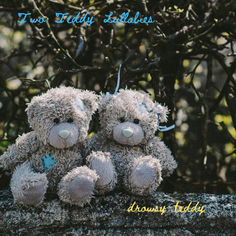 Two Teddy Lullabies