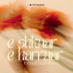 E shkuar e harruar