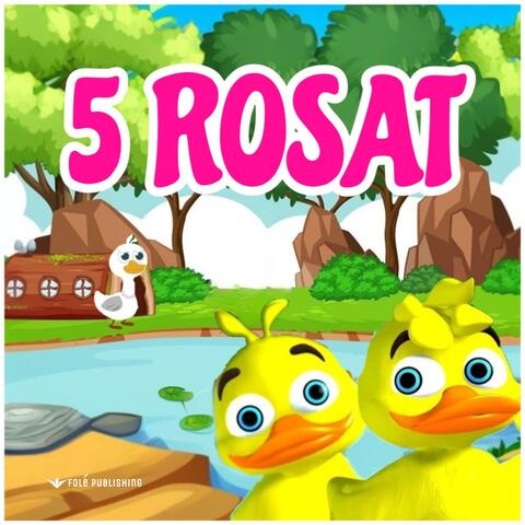 5 Rosat | Five Little Ducks | Bubrreci TV - Kenge per Femije