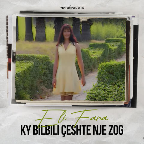 Ky bilbili çeshte nje zog