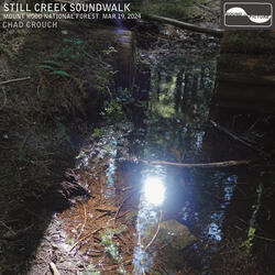 Part 28 Still Creek Trickle