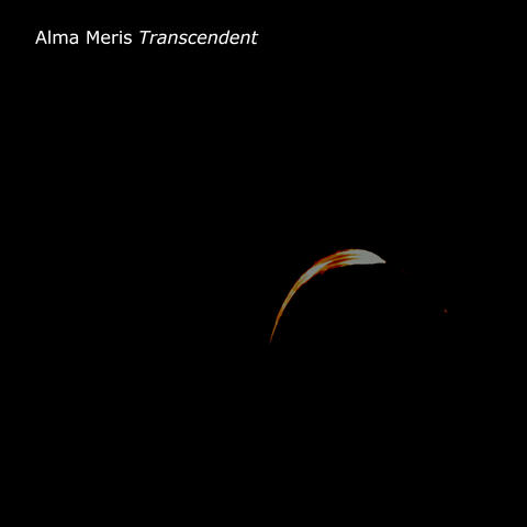 Transcendent