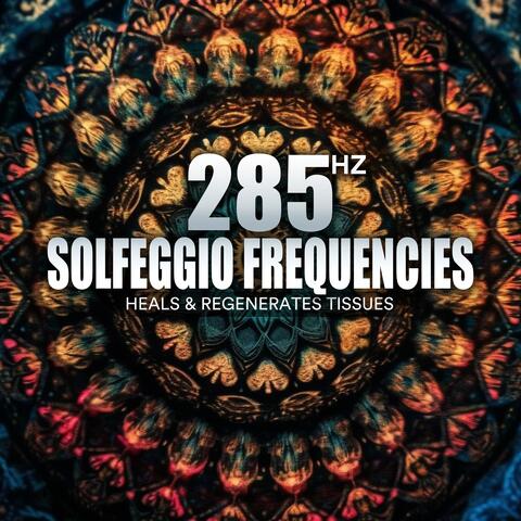 285 Hz Solfeggio Frequencies (Heals & Regenerates Tissues)