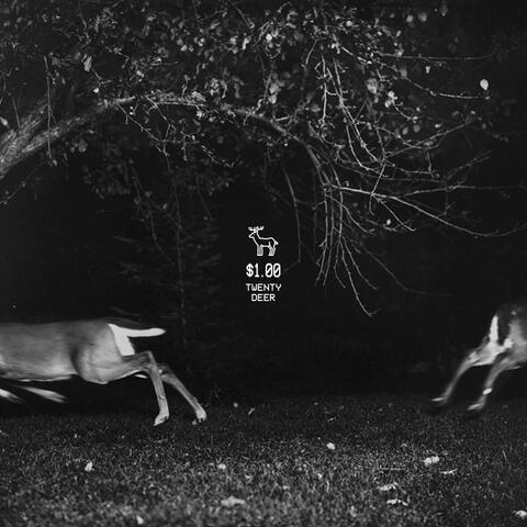 Twenty Deer