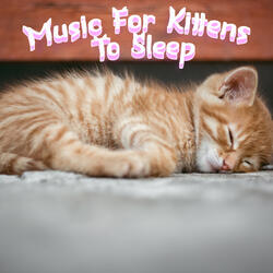 Help Your Cat Fall Asleep