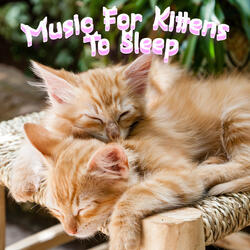 Anxiety Reduce For Cats