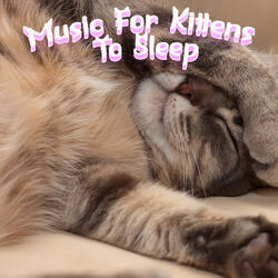 Music For Kitten Stress Relief