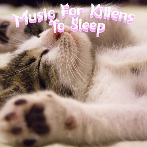 Sleep Music For Cats Try It Today & Calm Your Cat