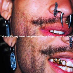 All My Life, My Heart Has Yearned For A Thing I Cannot Name
