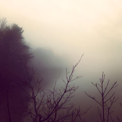 First Light
