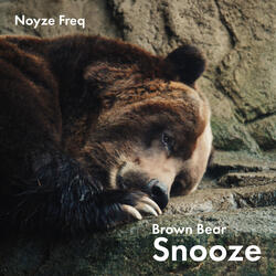 Brown Bear Snooze