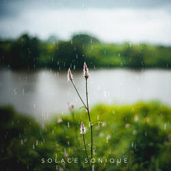 Rainy Days