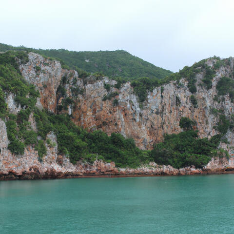 Sea