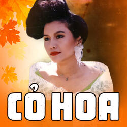 Gió về miền xuôi